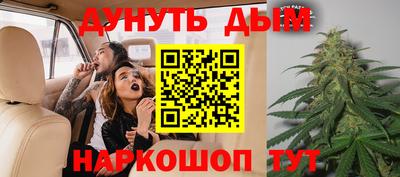 ГАЛЛЮЦИНОГЕННЫЕ ГРИБЫ Кингисепп